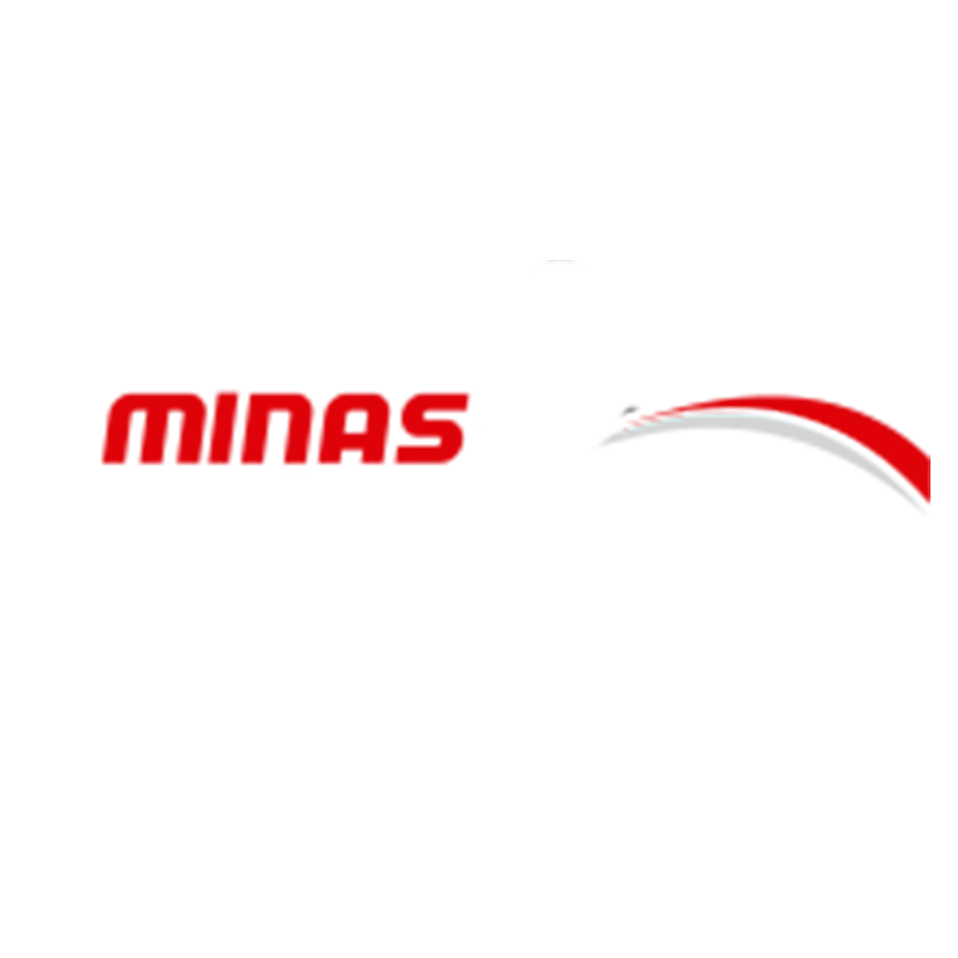 Logo mina.png